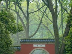 -灵谷景区