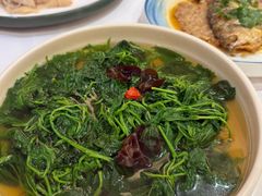 -山泉公馆酒家(珠江新城店)