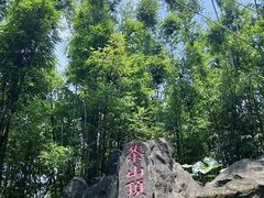 -东莞市大岭山森林公园