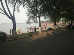 -丁香湖公园