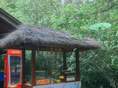 -天目湖御水温泉·度假酒店