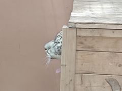 -青藏高原野生动物园