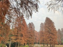 -东湖磨山景区