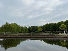 -汤湖公园