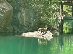 -山西通天峡景区