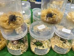 -上海跨国采购会展中心