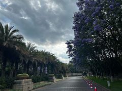 -昆明洲际酒店