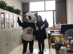-熊猫不走蛋糕（同城送）(长沙店)