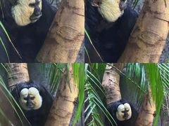 -红山森林动物园