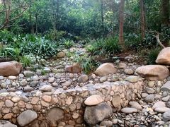 -成都市活水公园