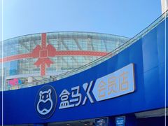 -盒马X会员店(王府井奥莱UP TOWN店)