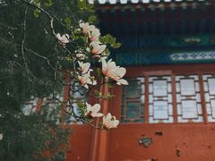 -大钟寺古钟博物馆
