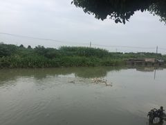 -乡乐园蟹庄·阳澄湖农家乐