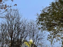 -北京理工大学(中关村校区)