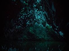 -怀托摩萤火虫洞