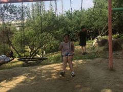 -秀丽东方