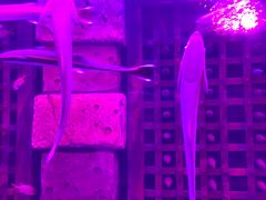 -哈尔滨波塞冬海底世界