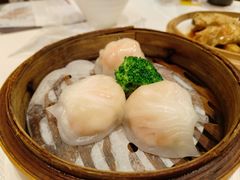 -新雅粤菜馆(南京东路店)