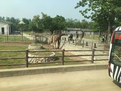 -西安秦岭野生动物园