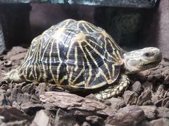 -上海海洋水族馆