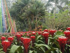 -南山植物园