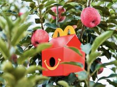 -麦当劳(吴中大道店)