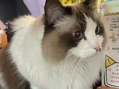 -咖法森林·咖啡  酒吧(天河店)