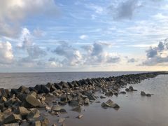 -南汇嘴观海公园