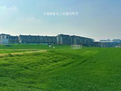 -白鹭湾湿地公园