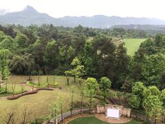 -成都蒲江花样年福朋喜来登度假酒店·宜客乐西餐厅