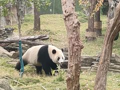 -武汉动物园