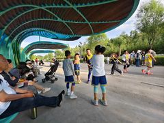 -鄂尔多斯野生动物园