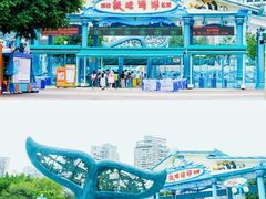-海合安成都极地海洋公园