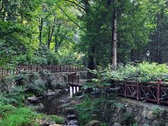 -素山寺森林公园