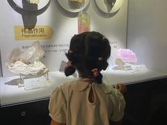 -湖南省地质博物馆