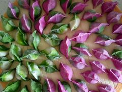 -爱月宝月嫂·育儿嫂(哈尔滨总店)