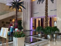 -常州环球恐龙城维景国际大酒店