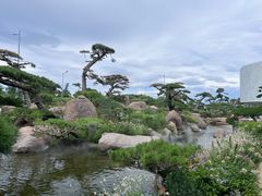 -罗红摄影艺术馆