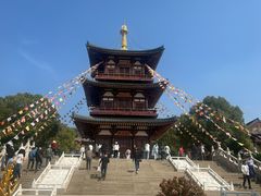 -庐山风景名胜区-东林大佛