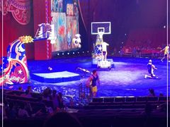 -珠海横琴长隆《卡卡虎奇遇记》