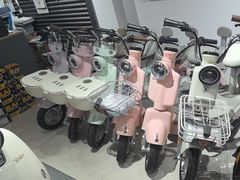 -雅迪电动车(北艾路店)