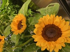 -证大大拇指广场(芳甸路店)