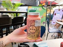 -野萃山·潮汕厚果汁(十亩地店)