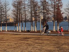 -滨江生态公园