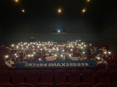 -万达影城(汉街万达广场IMAX店)