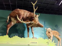 -浙江自然博物院(杭州馆)