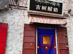 -古树酸奶(八廓南街店)
