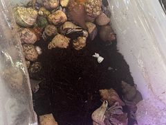 -上海沪太花鸟奇石市场·停车场