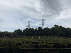 -紫马岭公园