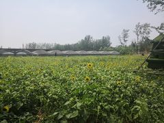 -云幽谷旅游区